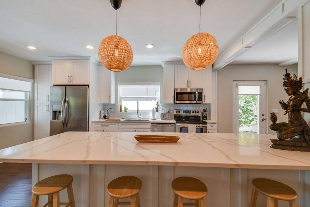 Luxury Home In The Heart Of South Tampa & Pool! Εξωτερικό φωτογραφία